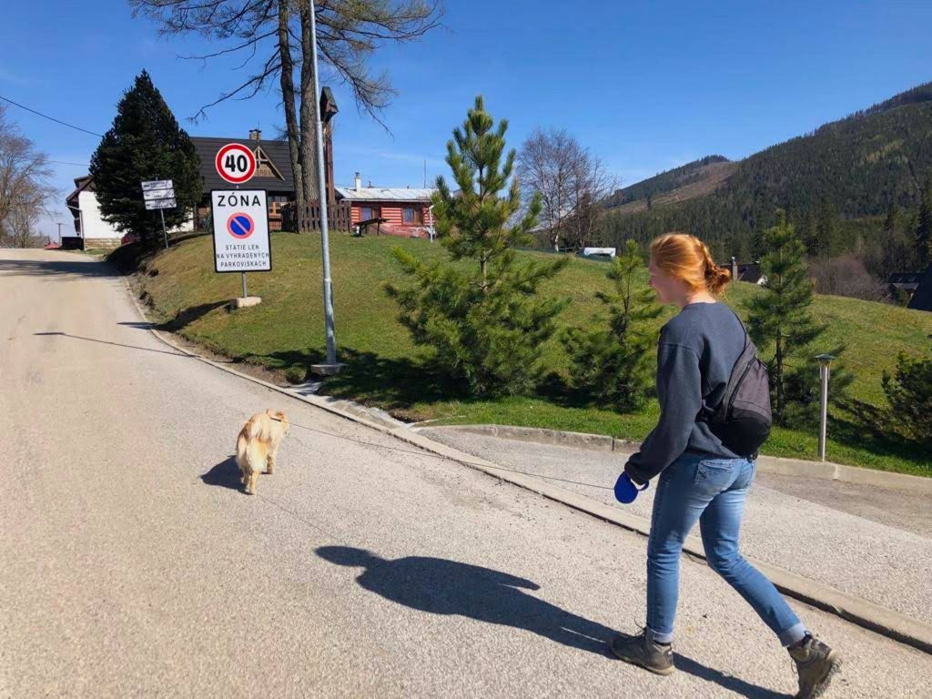 Kendall Welling walking with a dog down a street in Slovakia