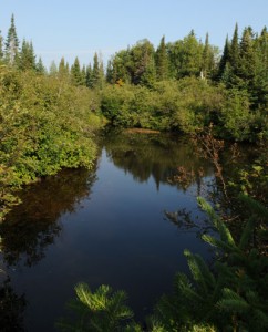 Otter River