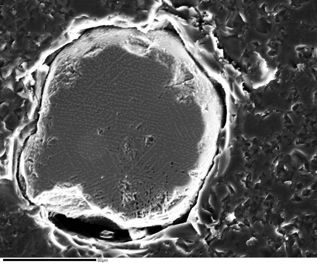 Research micrograph showing roughly circular structure