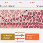 Cancer Biology image