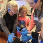 Students learning heart anatomy through a dissection.