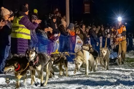Sled being pulled by dogs with crowd cheering