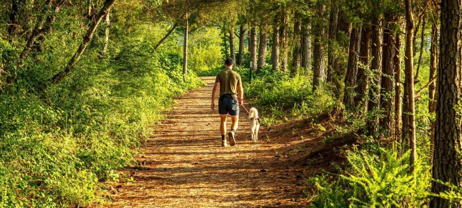 man walking in woods with dog