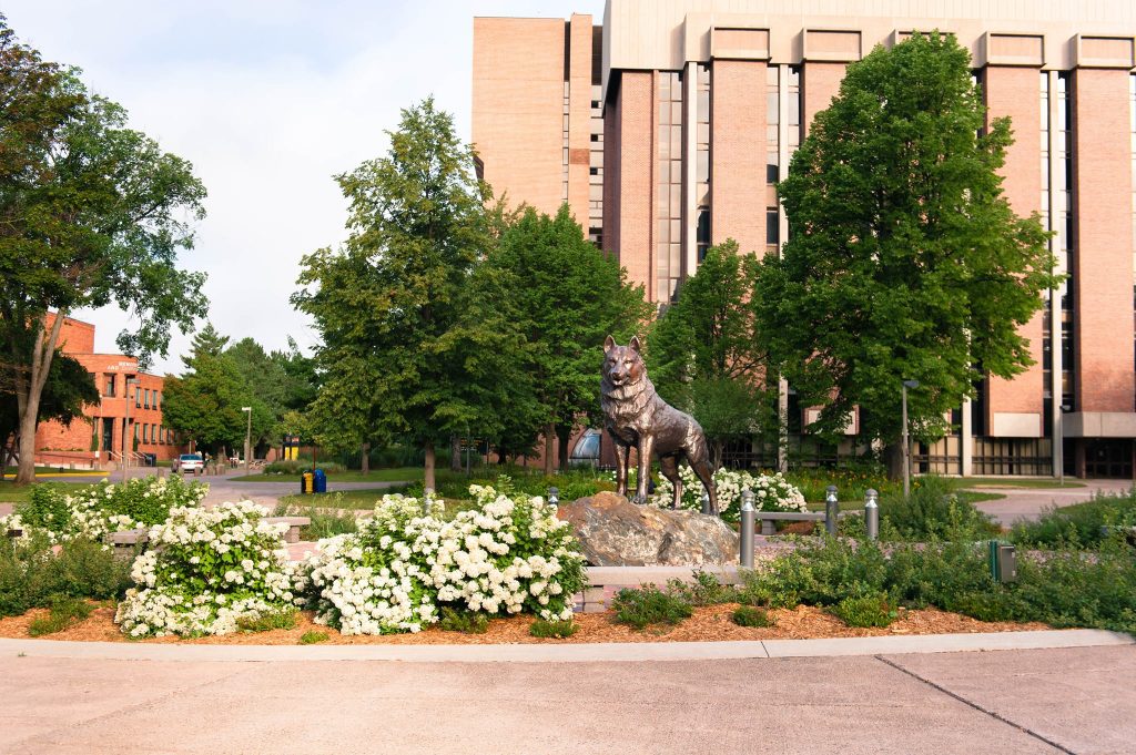 The bronze Husky dog statues sits in the center of Michigan Tech's campus. 