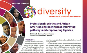 Diversity in Materials Science and Engineering cover graphic