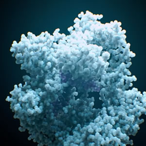 Human Nature Film showing molecule.