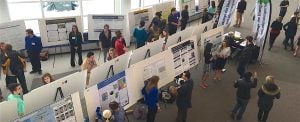 Students with posters on easels during a fair