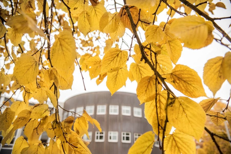 The Rozsa Center for the Performing Arts framed by fall leaves.