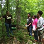 TaraBal Insects&Forests