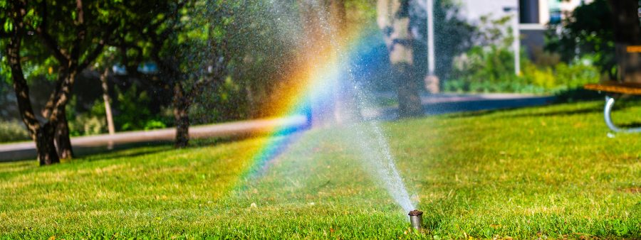 Sunshine creating a rainbow in the mist of a lawn sprinkler on a sunny day.