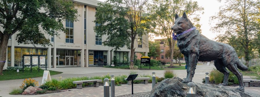 Michigan Tech's Husky Statue wearing a purple ribbon around its neck.