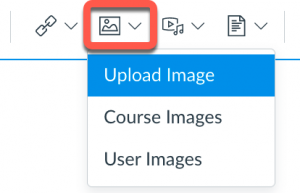 Image tool in Canvas Rich Content Editor