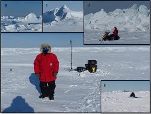 Research Sites in the Arctic showing a collage of four snowy locations with researchers and equipment