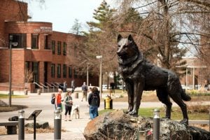 Husky Statue with people in the background