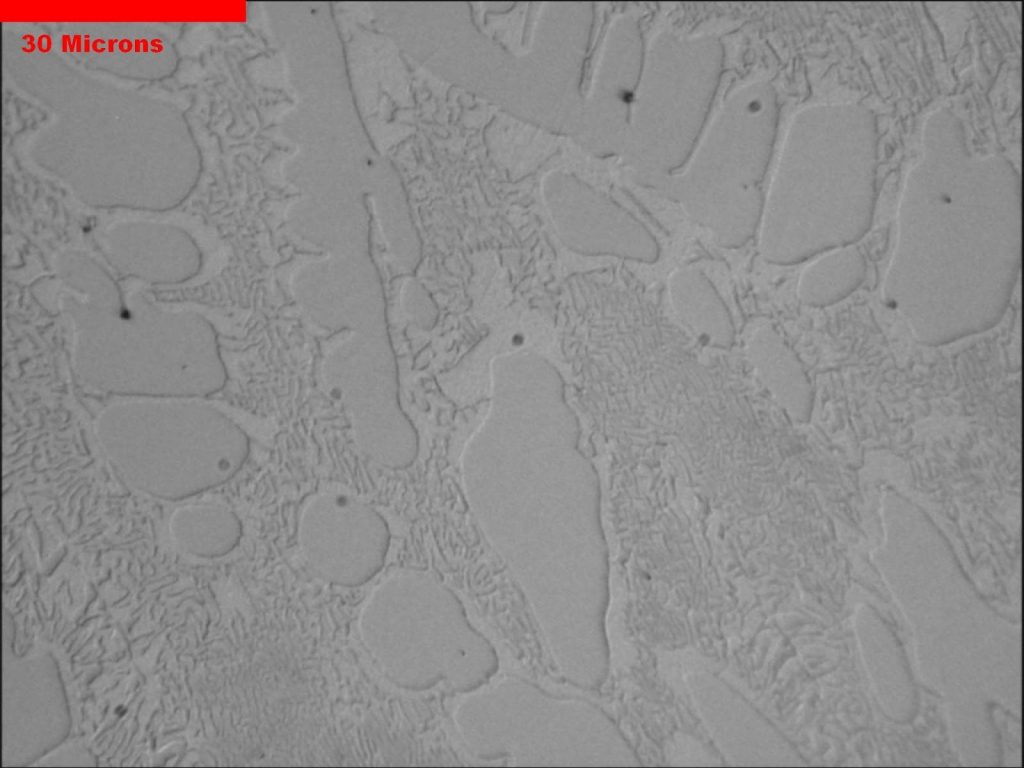 Micrograph with micron scale marker