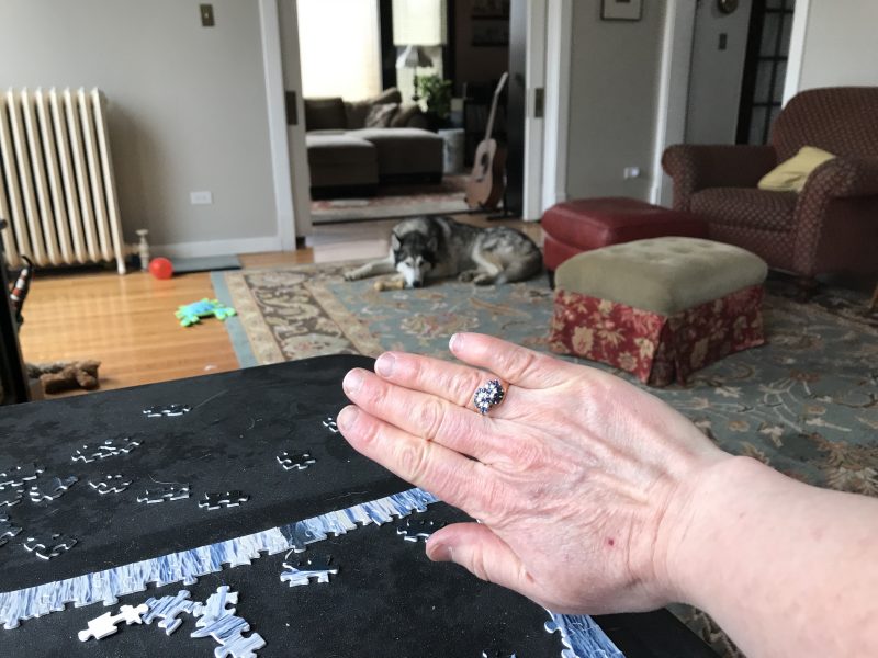 Author's hand outstreched over a jigsaw puzzle on a card table, with Husky dog far in the background,  to show her knuckly fingers and her mother's ring