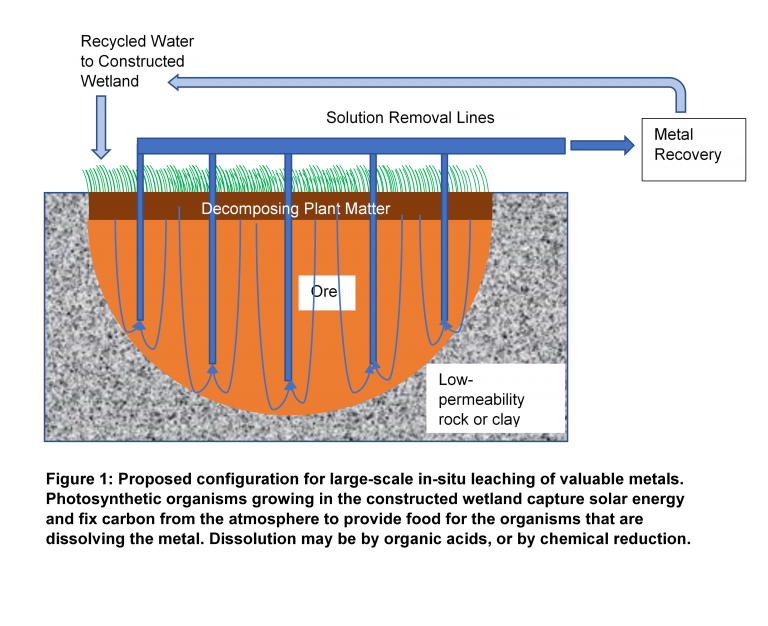 Tim Eisele: Backyard Metals | College of Engineering Blog