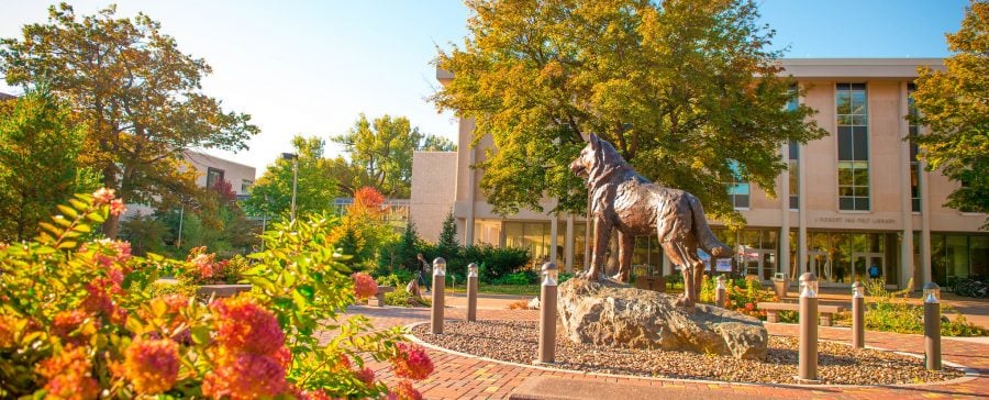 MTU campus in the fall with a view of the husky statue and the library in the background.