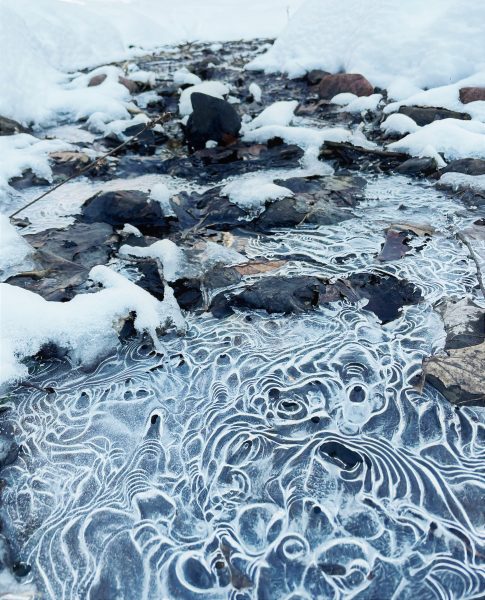Interesting shapes formed in ice in a creek