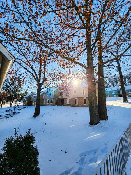 A sunny view of a residential complex