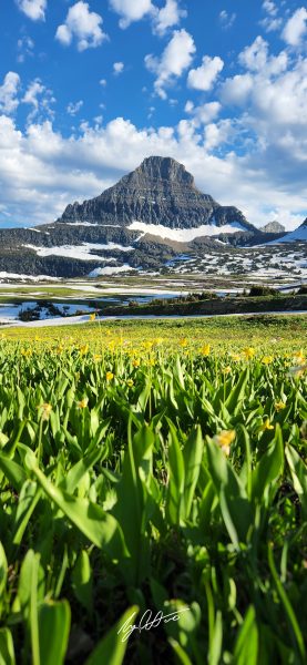 A mountain overlooking a field of tulips on a partially cloudy day