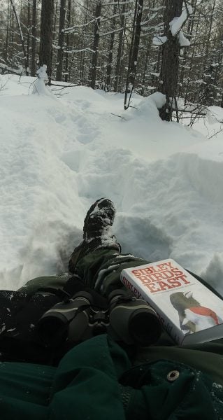 The lower half of a person lying in a snowy forest with a pair of binoculars and a "Sibley Birds East" field guide on their lap