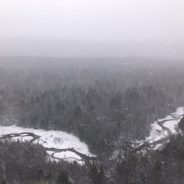 A snowy forest landscape with a large stream running through it