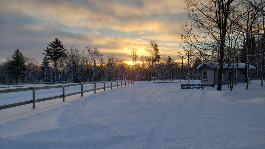 A snowy cross country skiing trail at the Tech Trails
