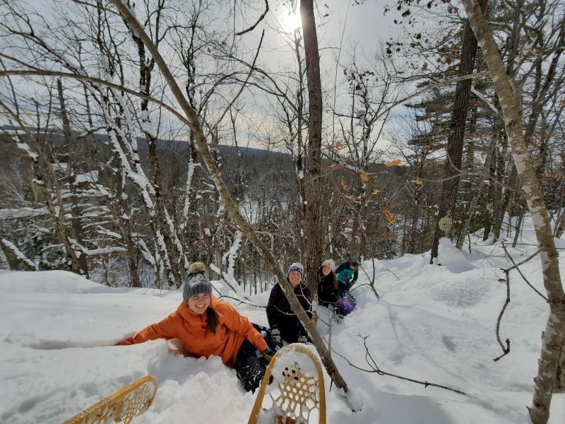 People snowshoeing in a forest