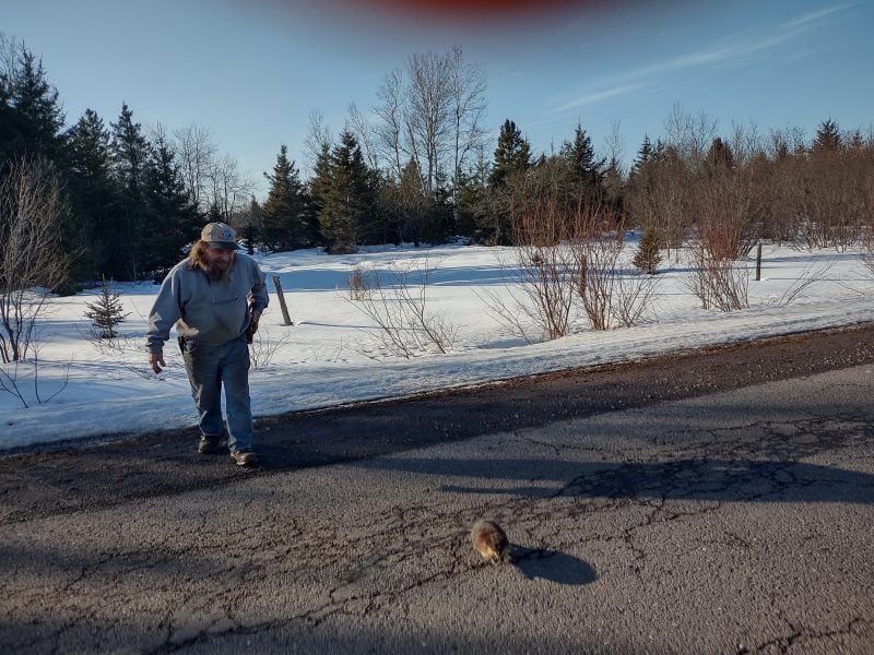 A man following a small rodent on a road
