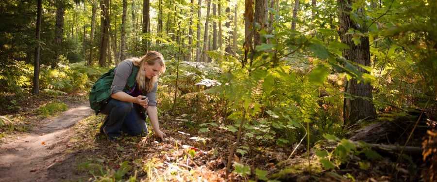 Tara Bal kneels and inspects the forest floor outdoors on a sunny day.