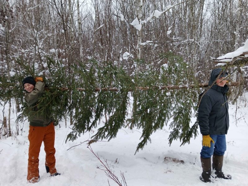 Two forestry club members pose carrying a massive tree through the snowy woods.
