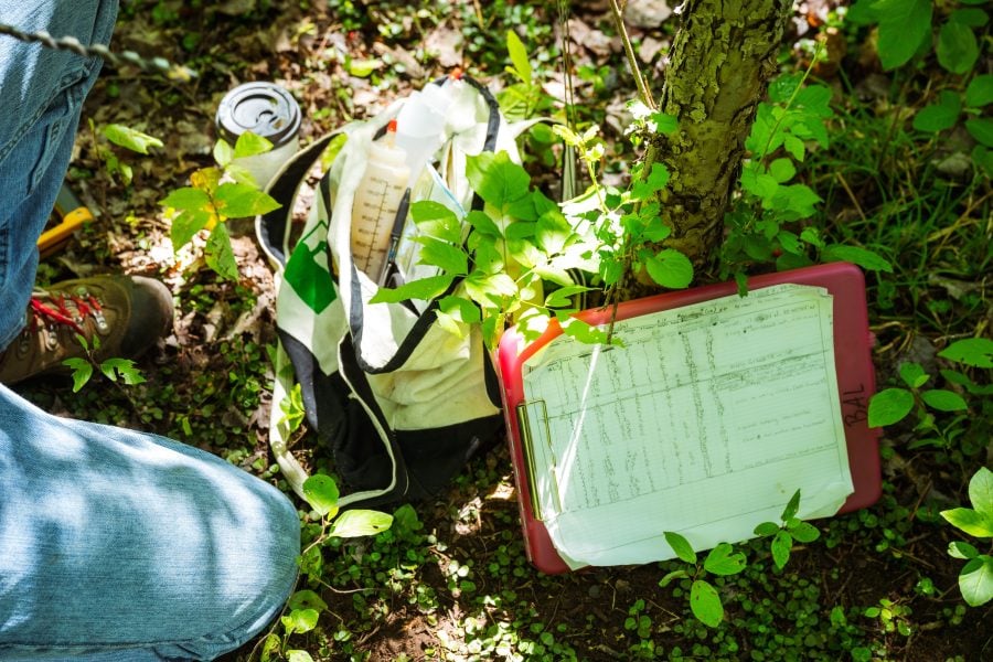A close-up image of a clipboard, canvas bag with a pen, natural herbicide and applicators, and the legs and feet of a researcher in jeans and hiking shoes, who is kneeling in preparation to apply the herbicide. A travel mug of coffee sits next to the bag on the forest floor.