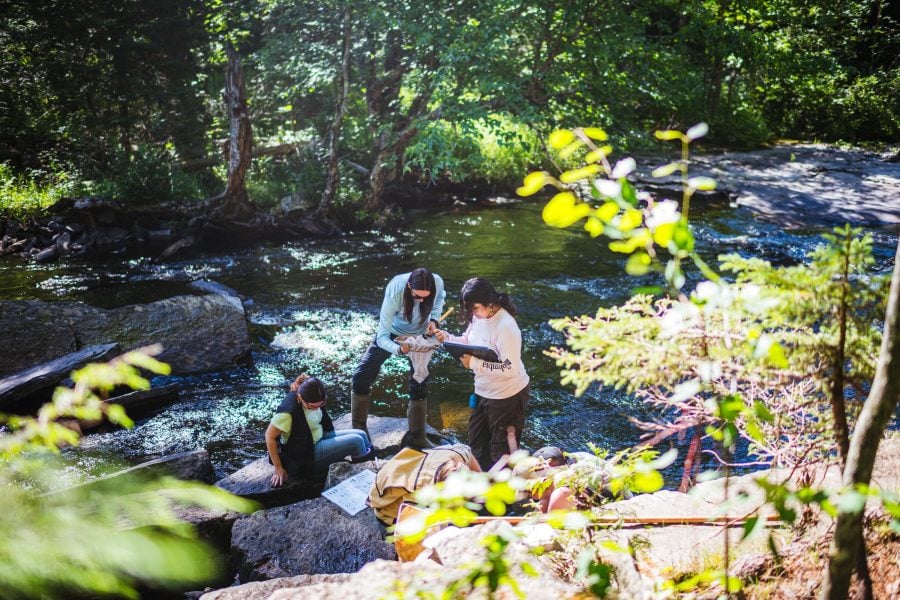 Three students document macroinvertebrates from a nearby stream.