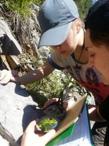 Michigan Tech/Univ Milan Bicocca MS student Maria Diletta Acciaro showing Tbilisi State Univ doctoral student Nino Kvavadze how to measure the orientation of dipping geological layers.