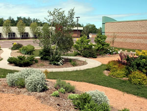 View of part of the garden and pathways near the museum.