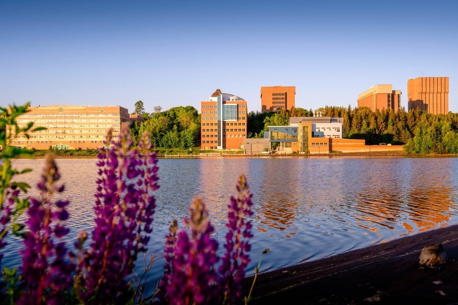 The Michigan Technological University campus before sunset on a summer evening, as seen from the vantage point of Mont Ripley’s front yard with purple lupins in the foreground.