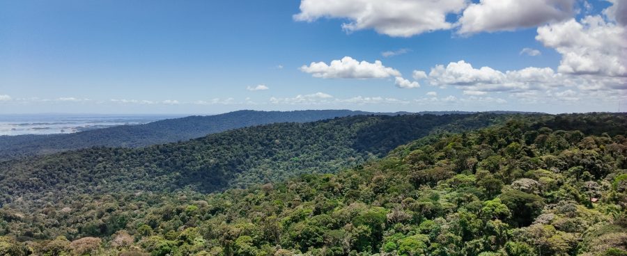 Image of the Suriname forest shot with a drone, one of the most useful tools and technologies in geographic information science