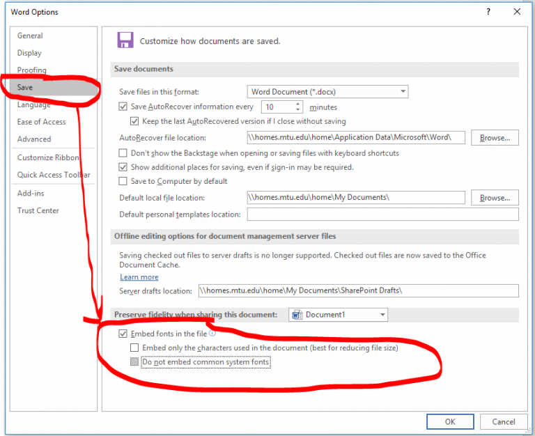 insert-text-or-data-from-a-document-in-a-word-document