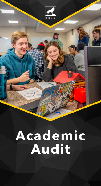 Michigan Tech Academic Audit (MTU Academic Audit)