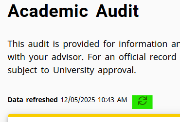 a screenshot of the Academic Audit section