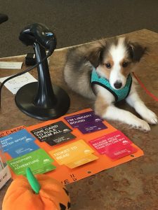 Portage Lake District Library Puppy