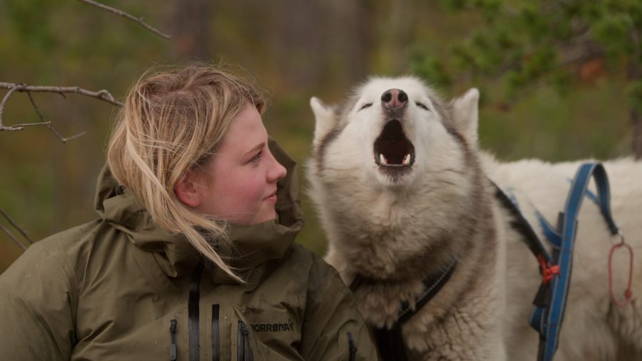 Folktales documentary at the 41 North Film Festival