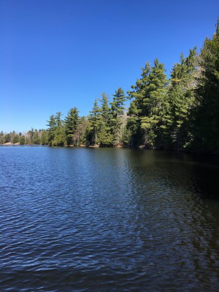 Perch Lake and its pine-tree rimmed shorelines with a blue sky above in October 2021.