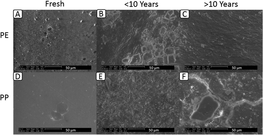 An array of 6 micrographs for two materials in different time frames.