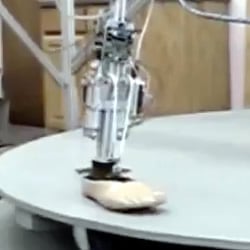 Robotic Ankle