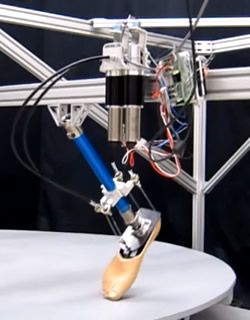 Robotic Ankle