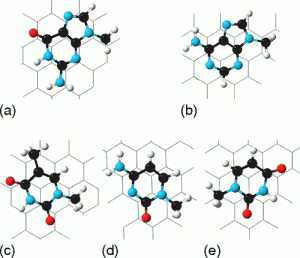 Physisorption of Nucleobases on Graphene