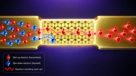 Electrons with spin up and down approach a nano-wire from the left. Spin down electrons are reflected, while spin up electrons are transmitted through the wire.