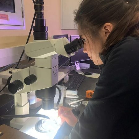 Grace looking at a specimen under a microscope